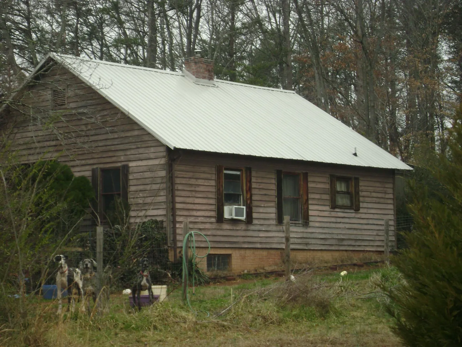 White metal roof on an old wood sided farmhouse, from a Metal Roof Installation job in Snoqualmie Pass